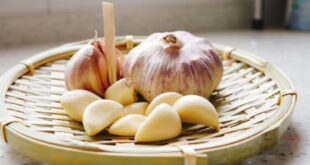 The benefits that you will get from consuming two cloves of garlic in winter